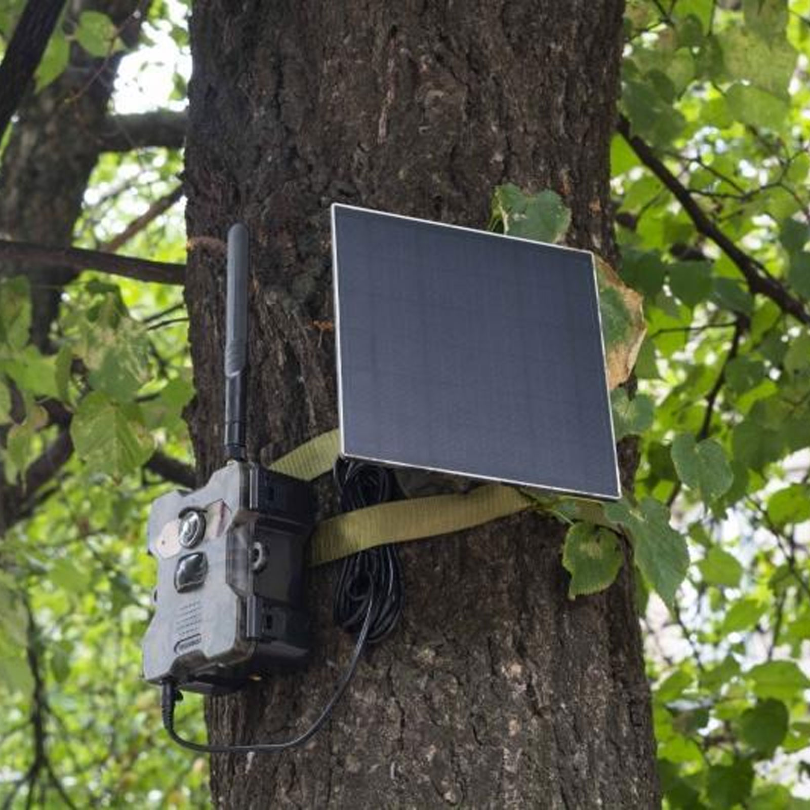 Technaxx TX-189 4G Wildkamera Technaxx TX-189 4G Wildkamera