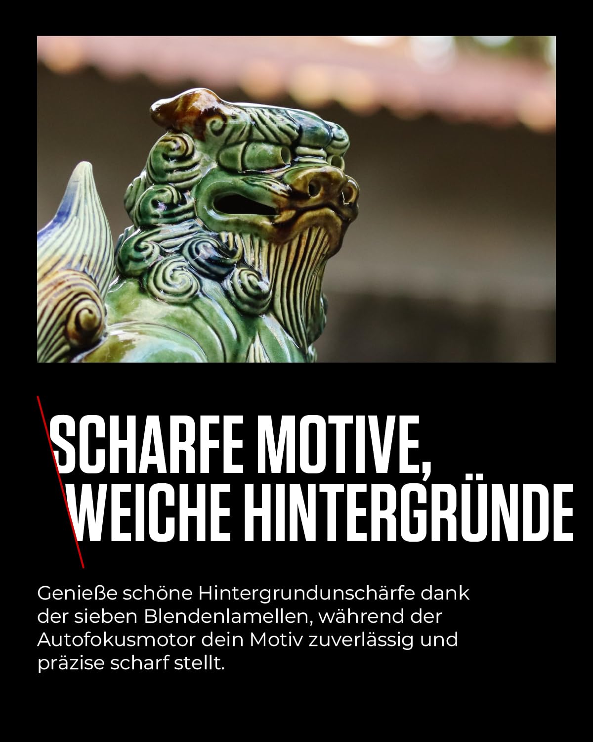 Canon RF 75-300mm F4-5.6 Objektiv