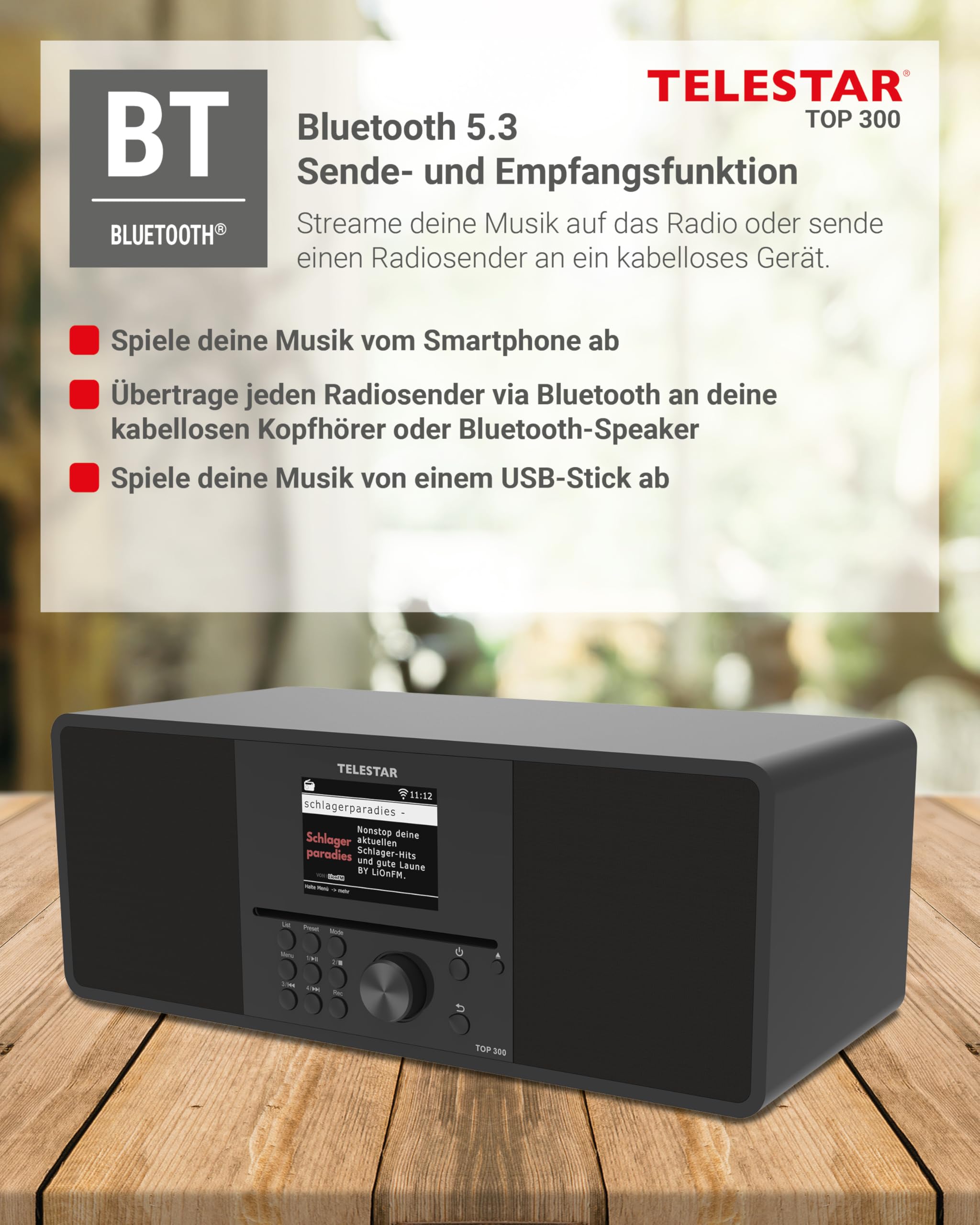 TELESTAR TOP 300 DAB+ Internetradio mit CD-Player Bluetooth USB Schwarz
