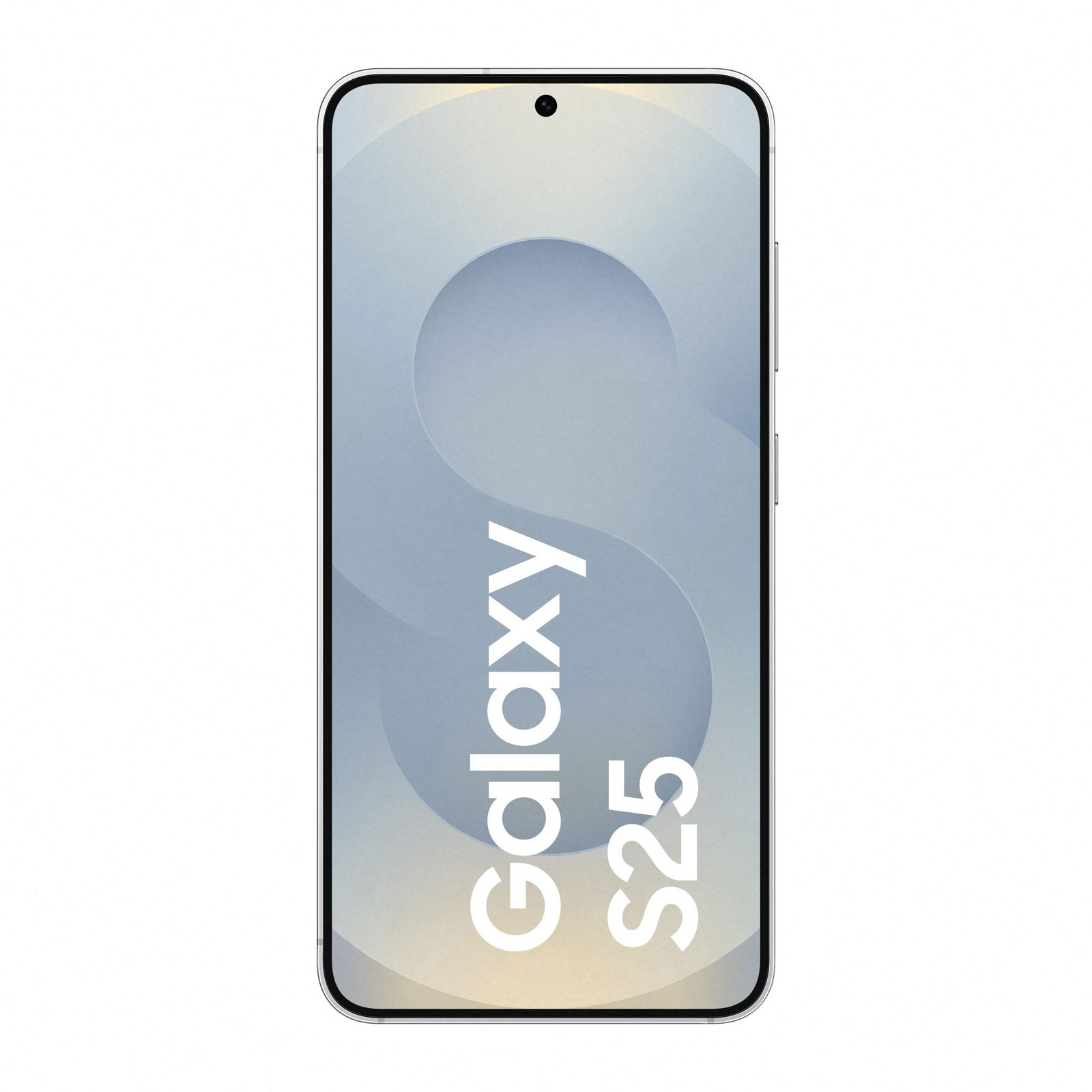 SAM S25 128 GB silver (DE)