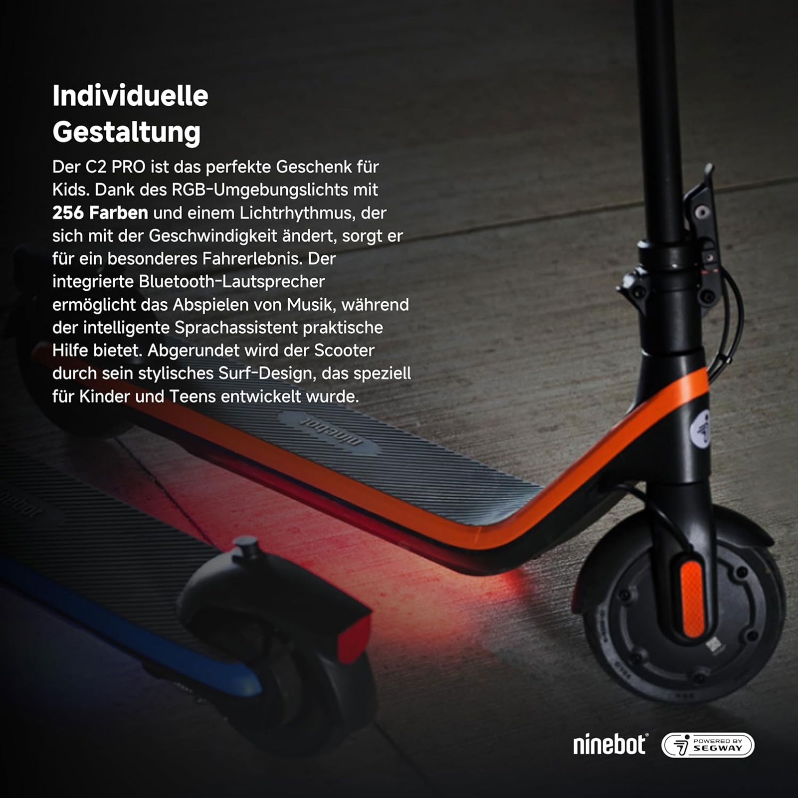Segway Ninebot C2 Pro E E-KickScooter