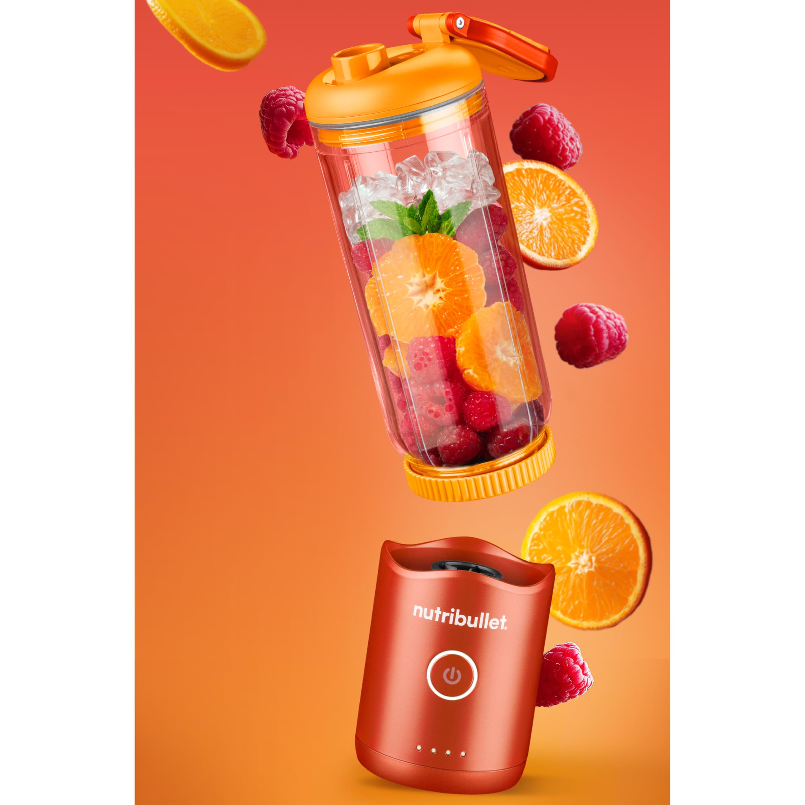 Nutribullet NBP013 Flex Standmixer