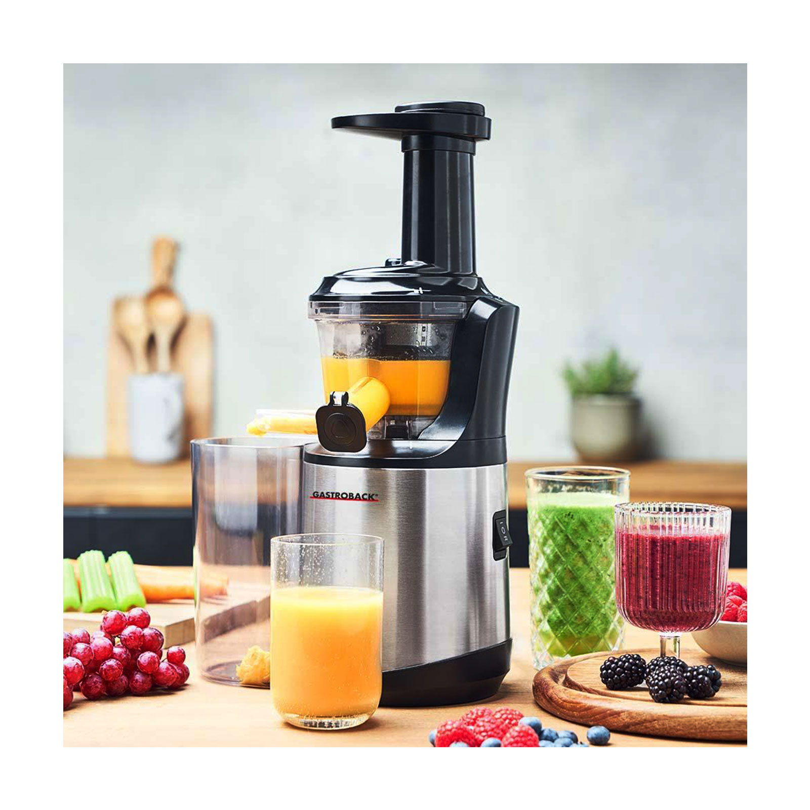 GASTROBACK Entsafter Slow Juicer Advanced Vital