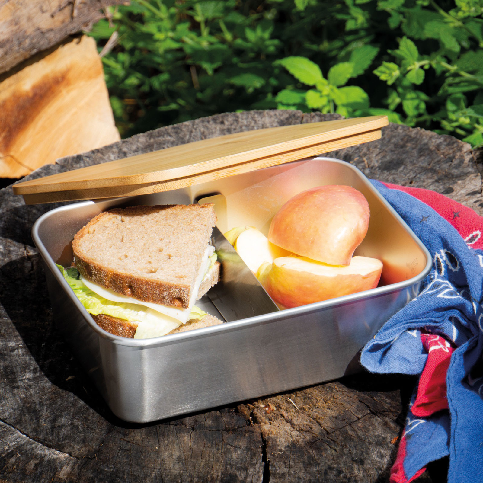 Echtwerk EW-LB-1720 PRAKTISCHE LUNCHBOX