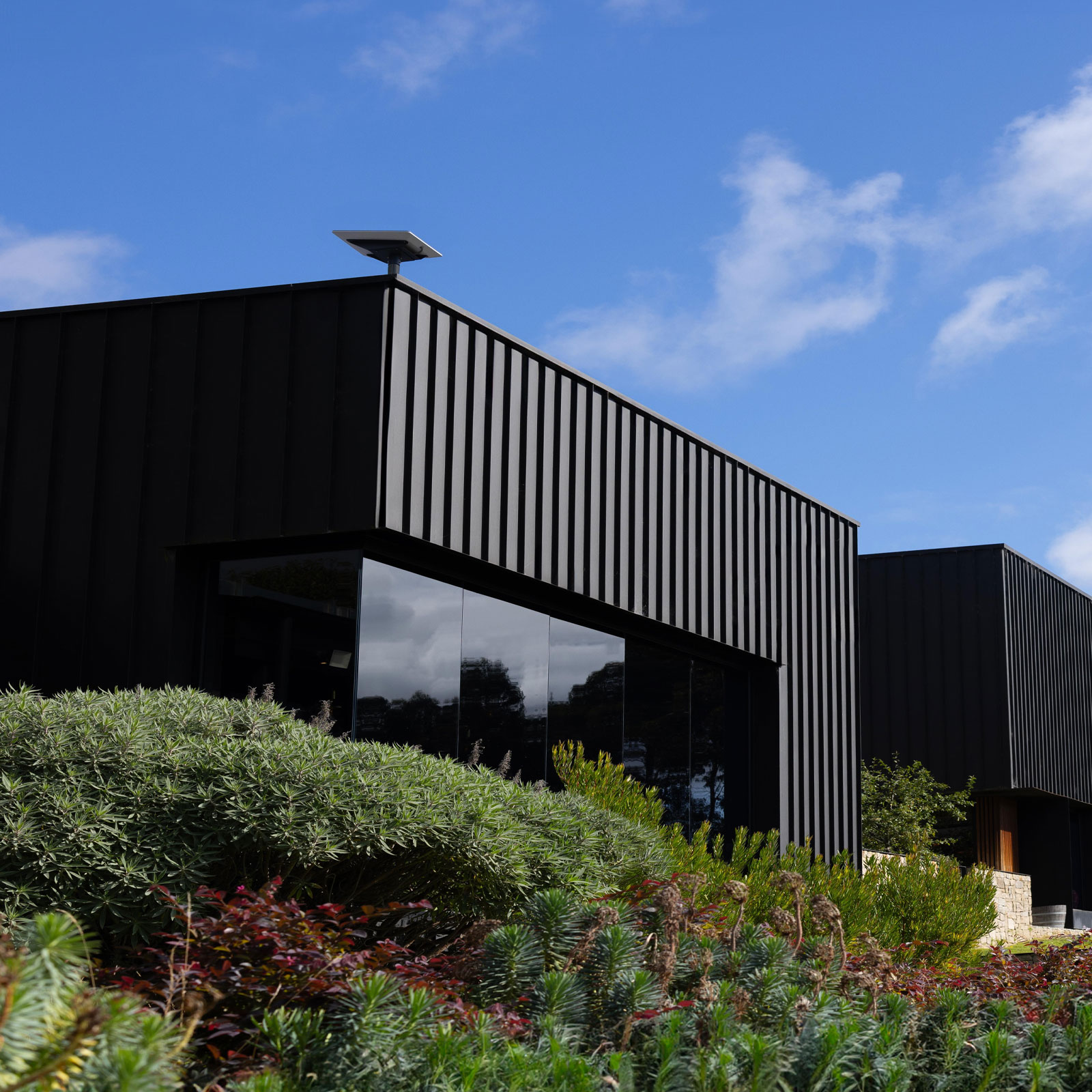 Starlink Flat High Performance Kit (ohne Router)