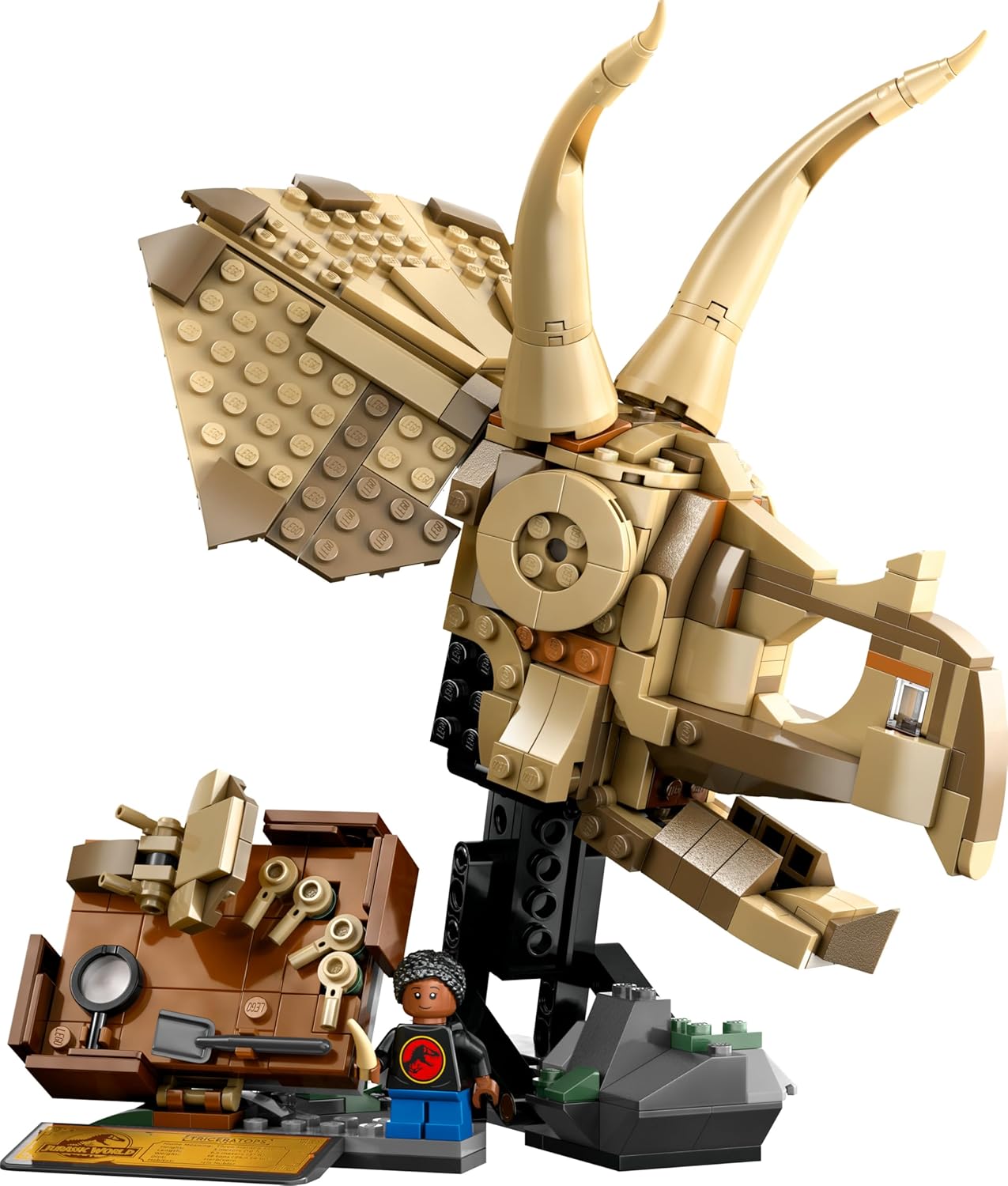LEGO Jurassic World Dinosaurier-Fossilien: Triceratops-Schädel Modell 76969