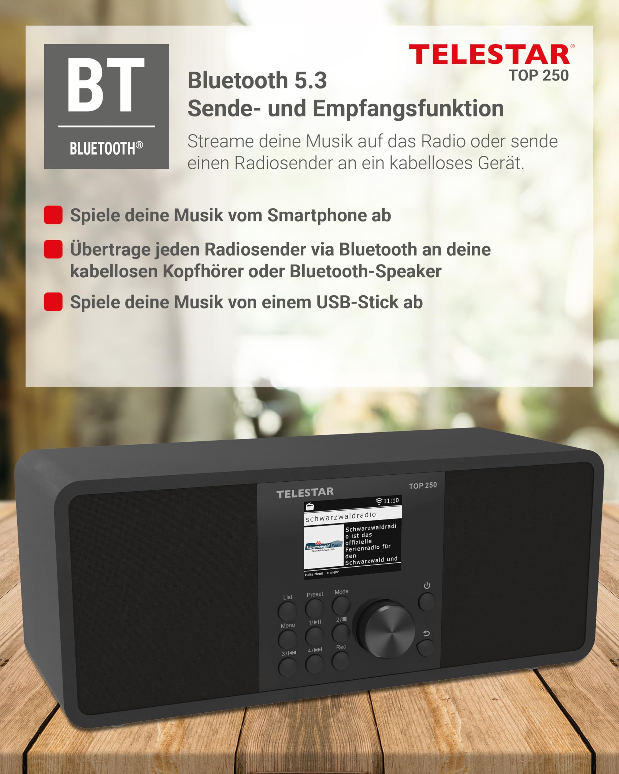 TELESTAR TOP 250 – DAB+/Internetradio