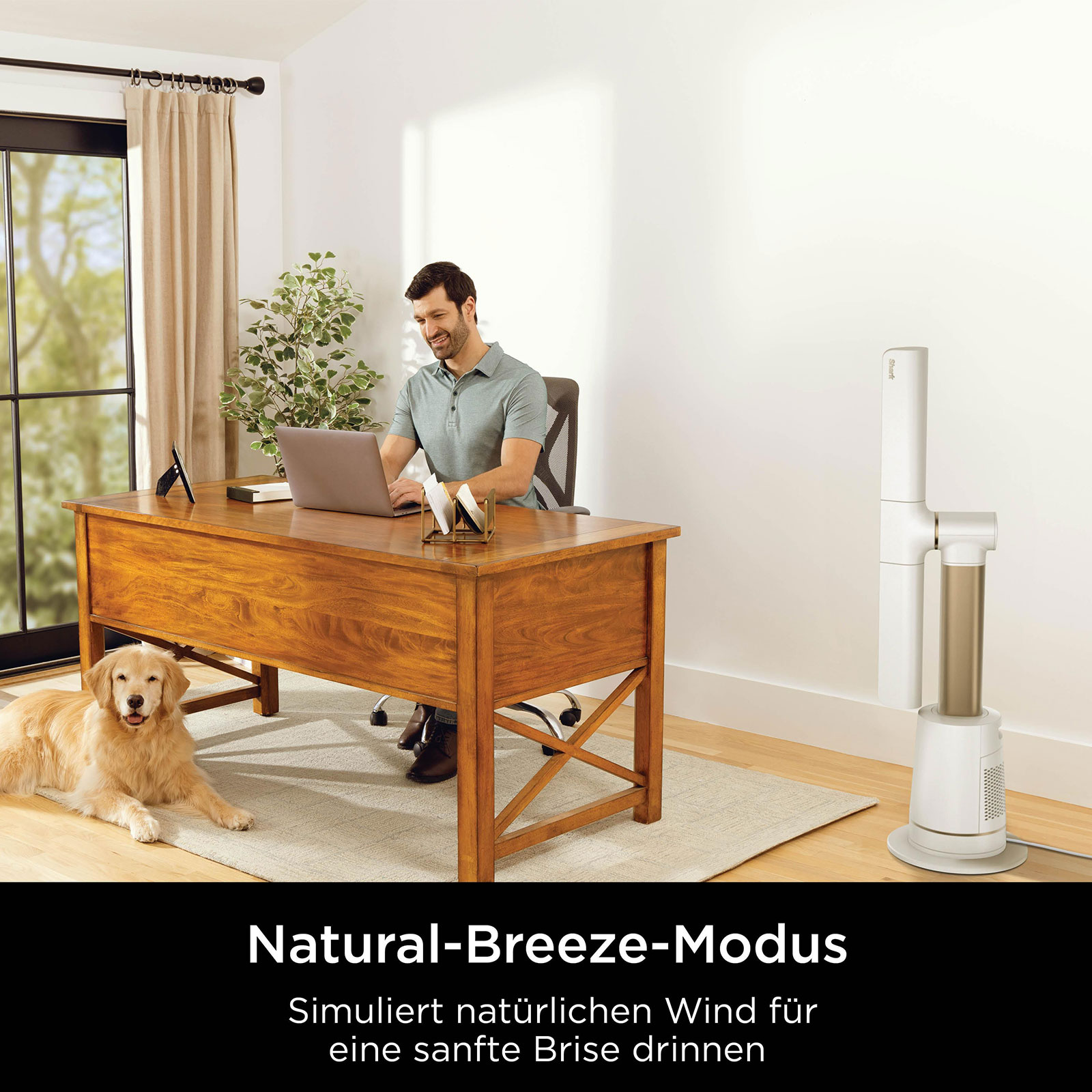 Shark TF200SEUWH Standventilator