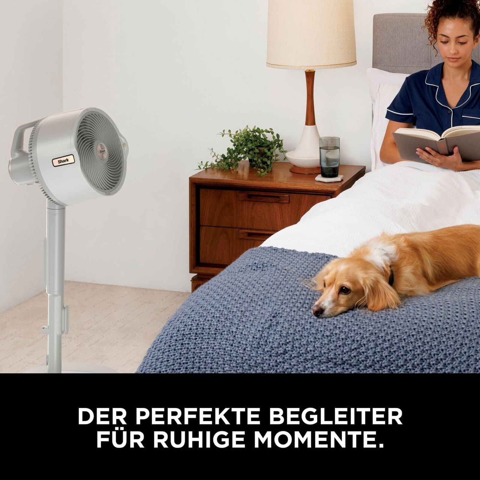 Shark FA300WHEU FlexBreeze Pro Mist Standventilator