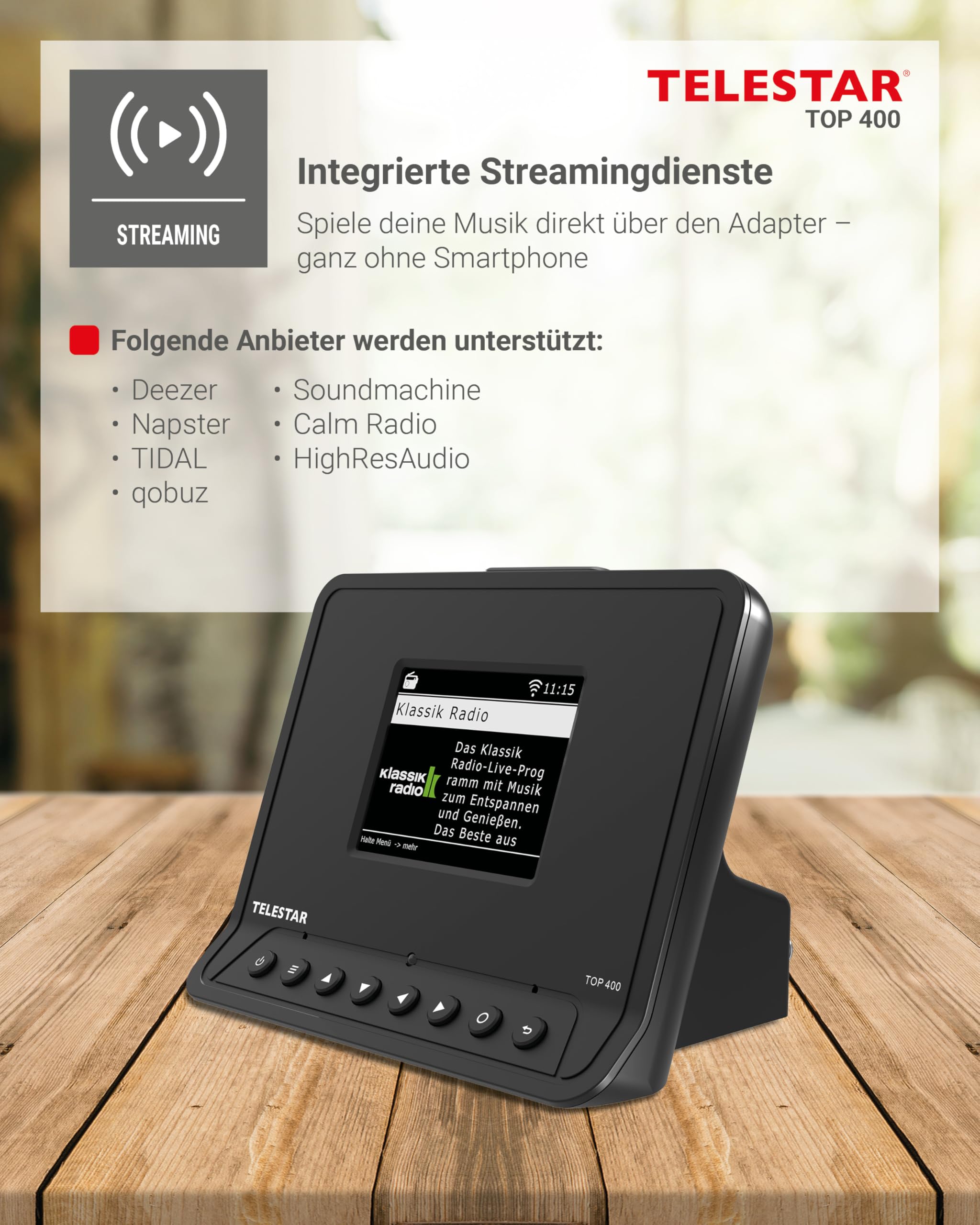 TELESTAR DAB+ Radio Adapter für Stereoanlagen TOP 400 Internetradio DAB+