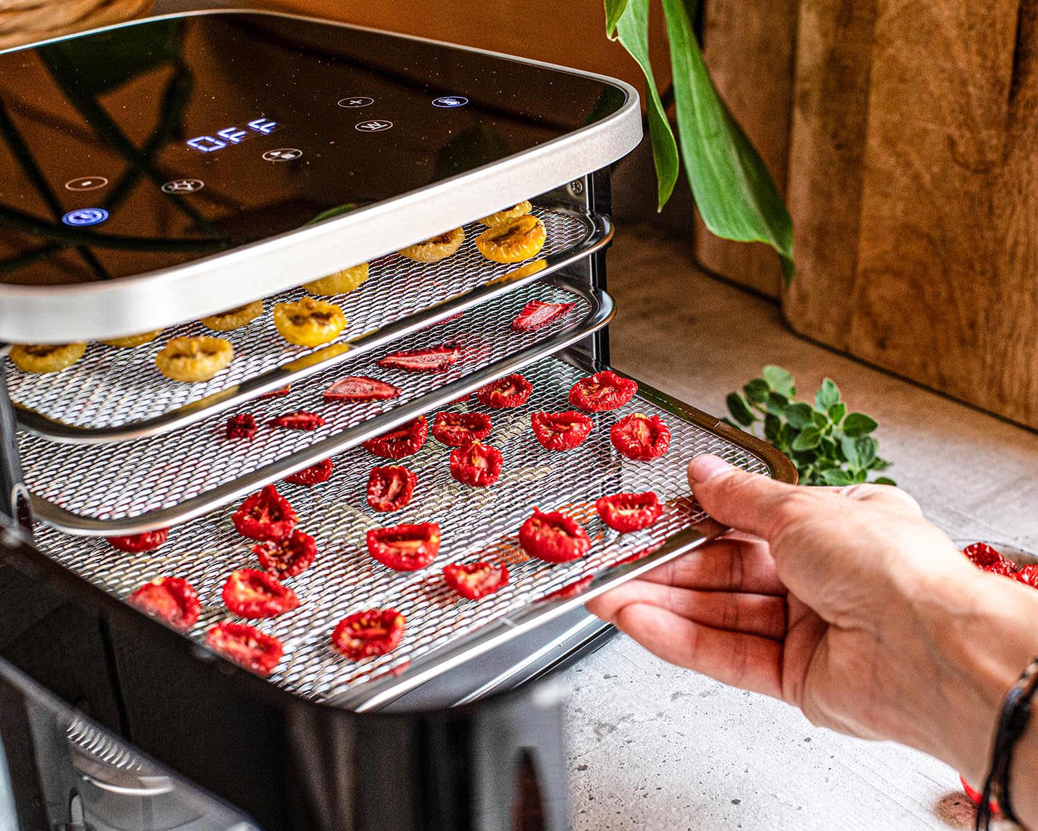 ROMMELSBACHER Dörrautomat DA 450