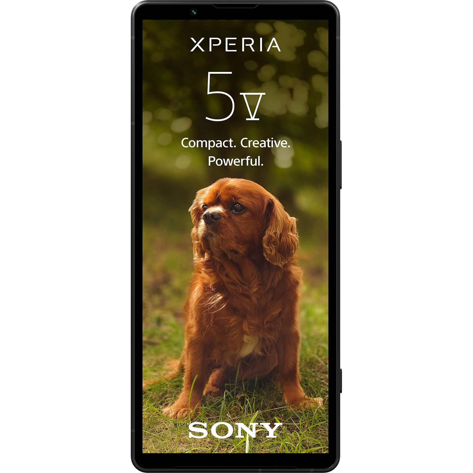 Sony Xperia 5 V 5G 128GB Schwarz Smartphone