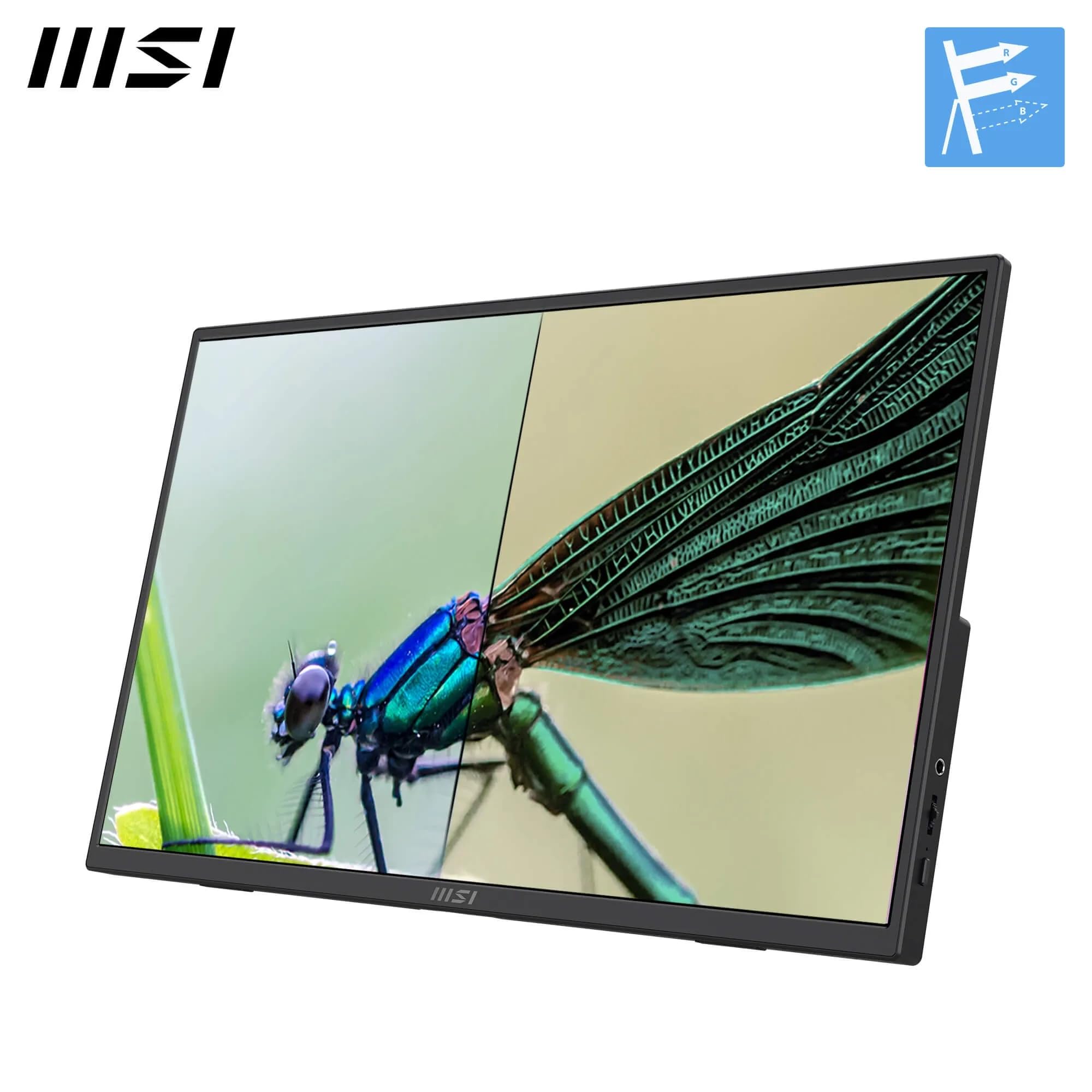 MSI PRO MP165DE E6 15.6-Inch FHD Portable Monitor