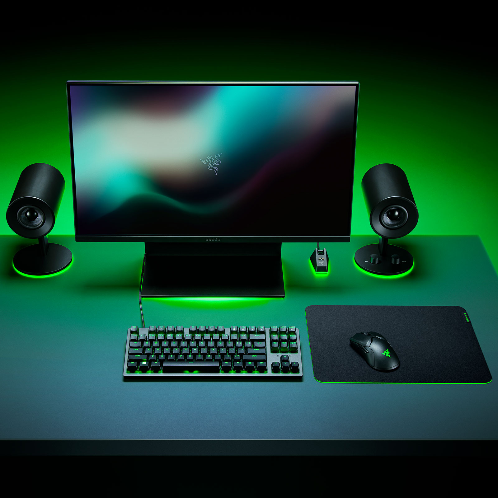 Razer Gigantus V2 - Soft Gaming Mouse Mat - Medium (RZ02-03330200-R3M1)